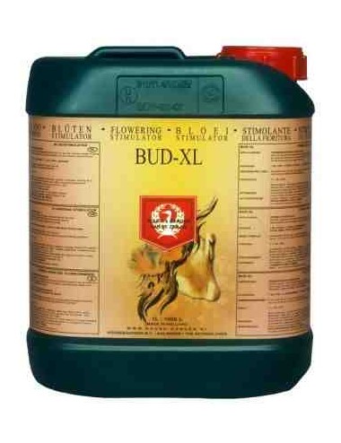 Bud XL (H&G) 5L