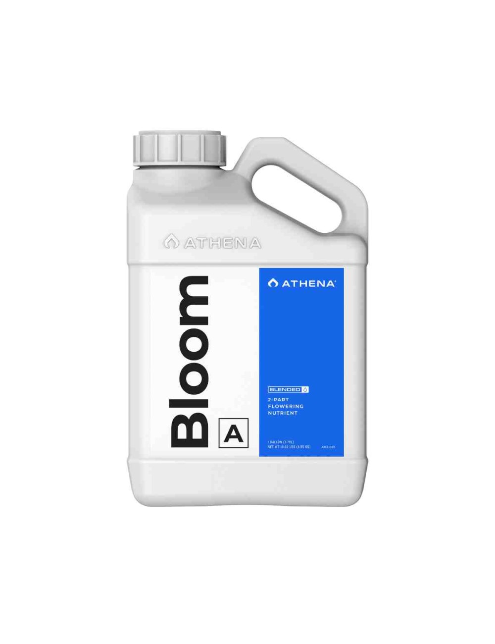 Bloom A 3,78L (Athena)