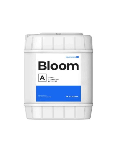 Bloom A 18,92L (Athena)