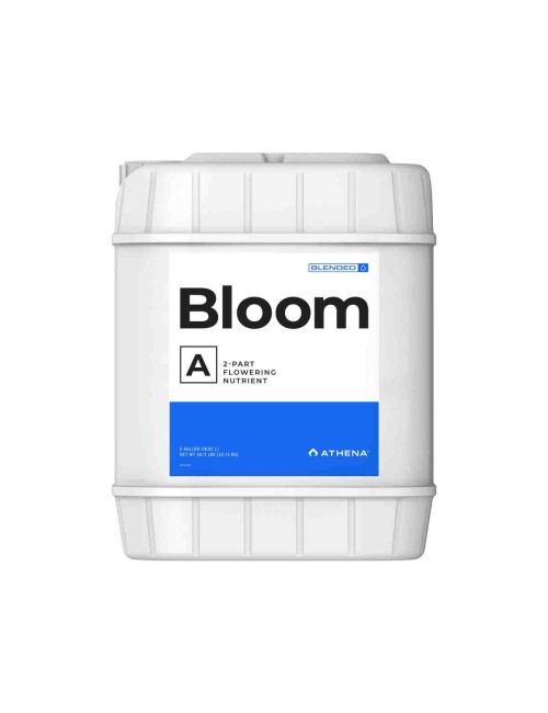 Bloom A 18,92L (Athena)