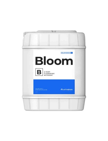 Bloom B 18,92L (Athena)