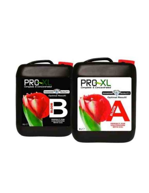 Bloom A & B (PRO-XL) 10L