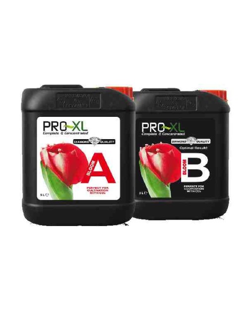 Bloom A & B (PRO-XL) 5L