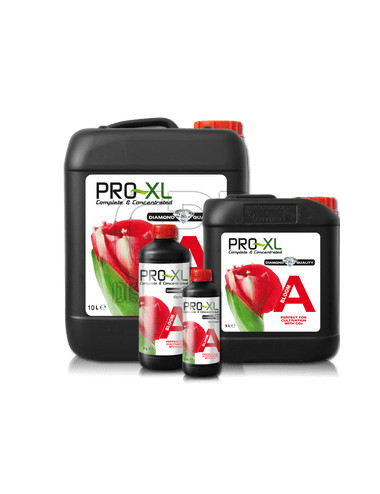 Bloom A & B (PRO-XL) 5L