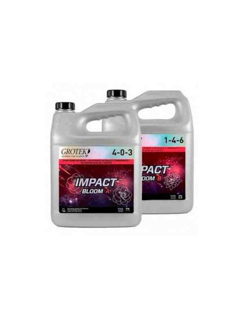 Impact Bloom A+B (Grotek) 10L