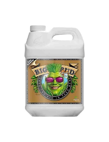 Big Bud COCO Liquid (Advanced Nutrients) 10L