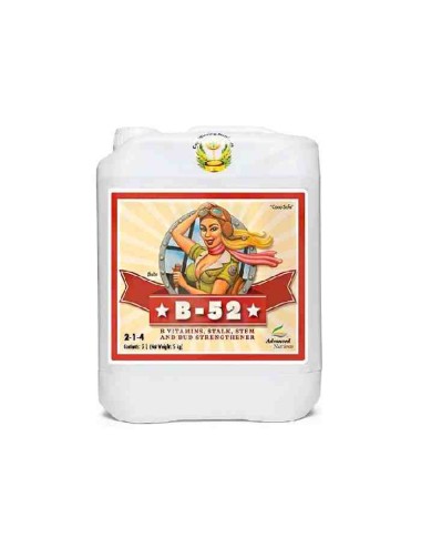 B-52 Booster (Advanced Nutrients) 4L