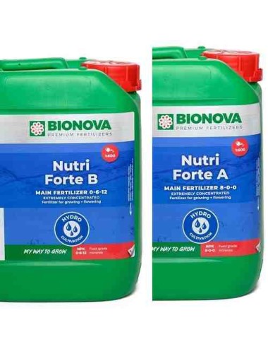 Nutriforte A+B (Bionova) 5L